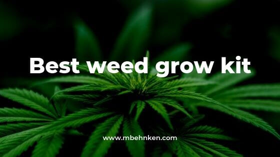 Best weed grow kit