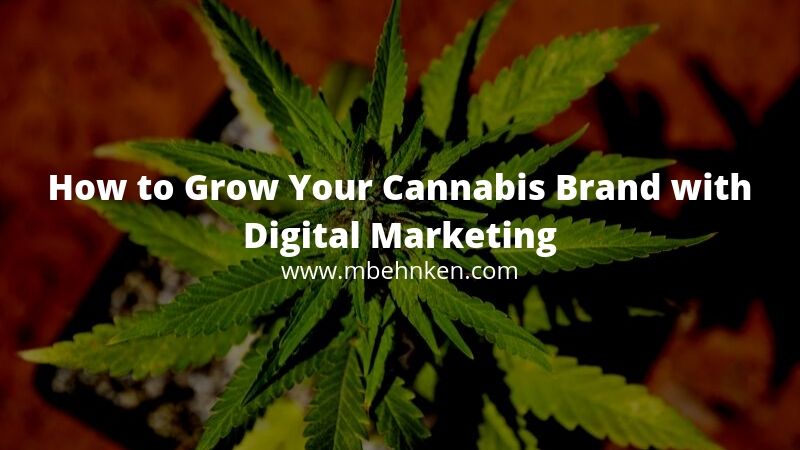 cannabis digital marketing