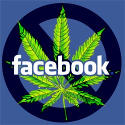 facebook cannabis ad policies