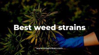 Best weed strains