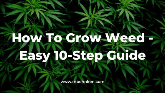 How To Grow Weed - Easy 10-Step Guide